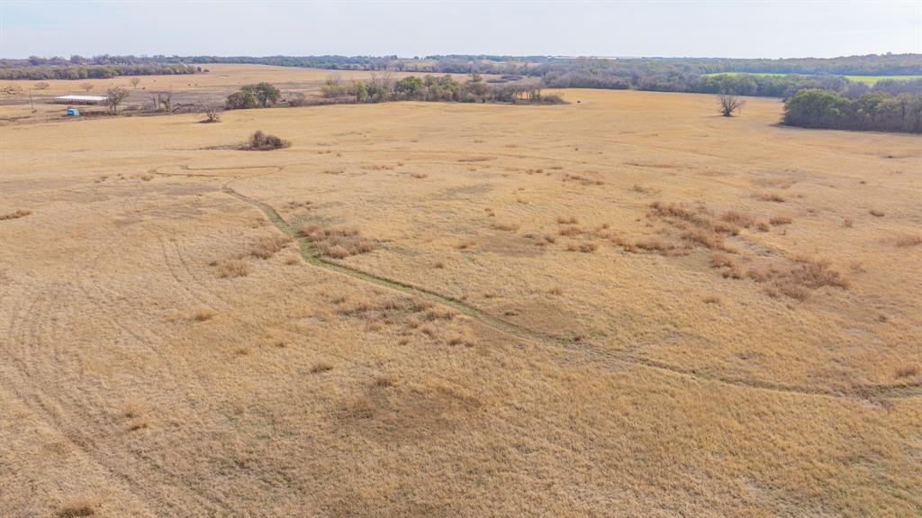 DISNEY RICHARD - Farm