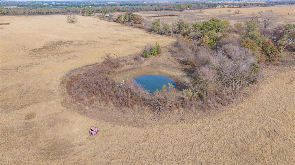 DISNEY RICHARD - Farm