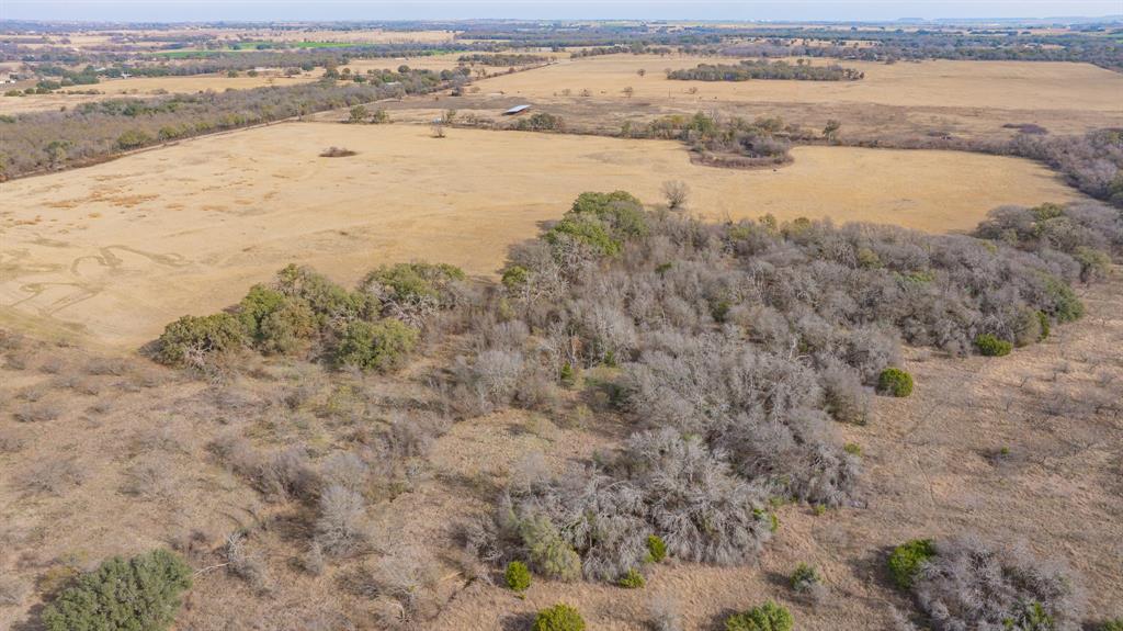 DISNEY RICHARD - Farm