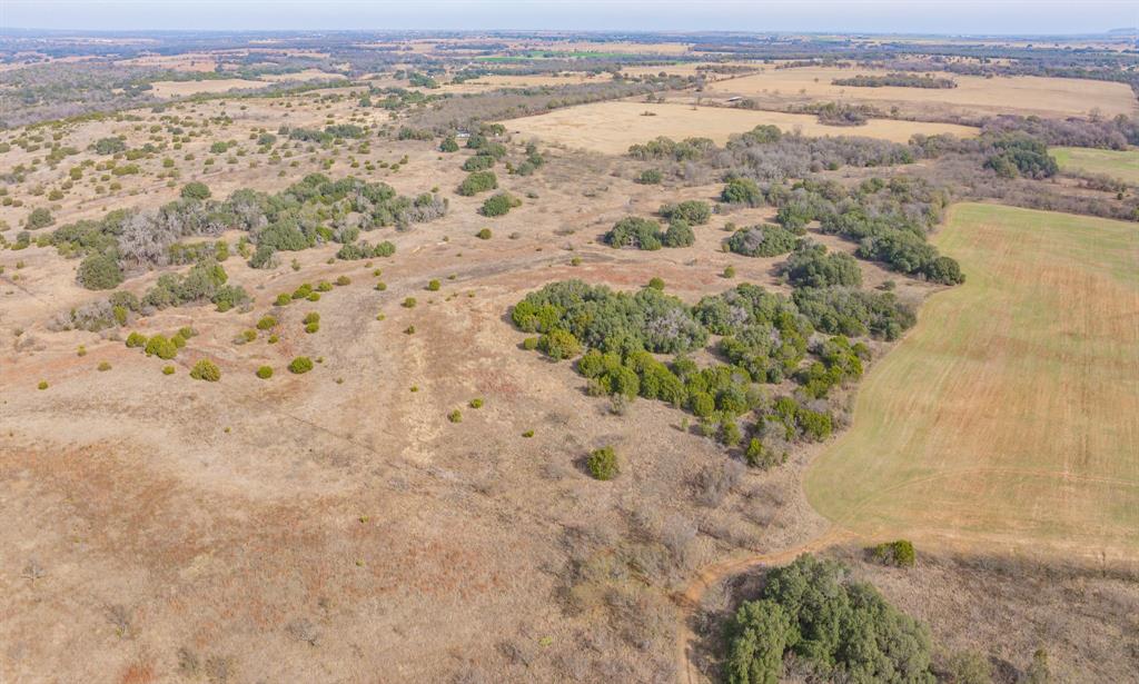 DISNEY RICHARD - Farm