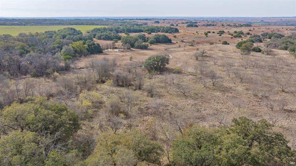 DISNEY RICHARD - Farm