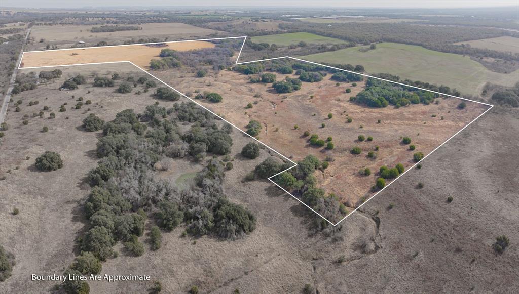 DISNEY RICHARD - Farm