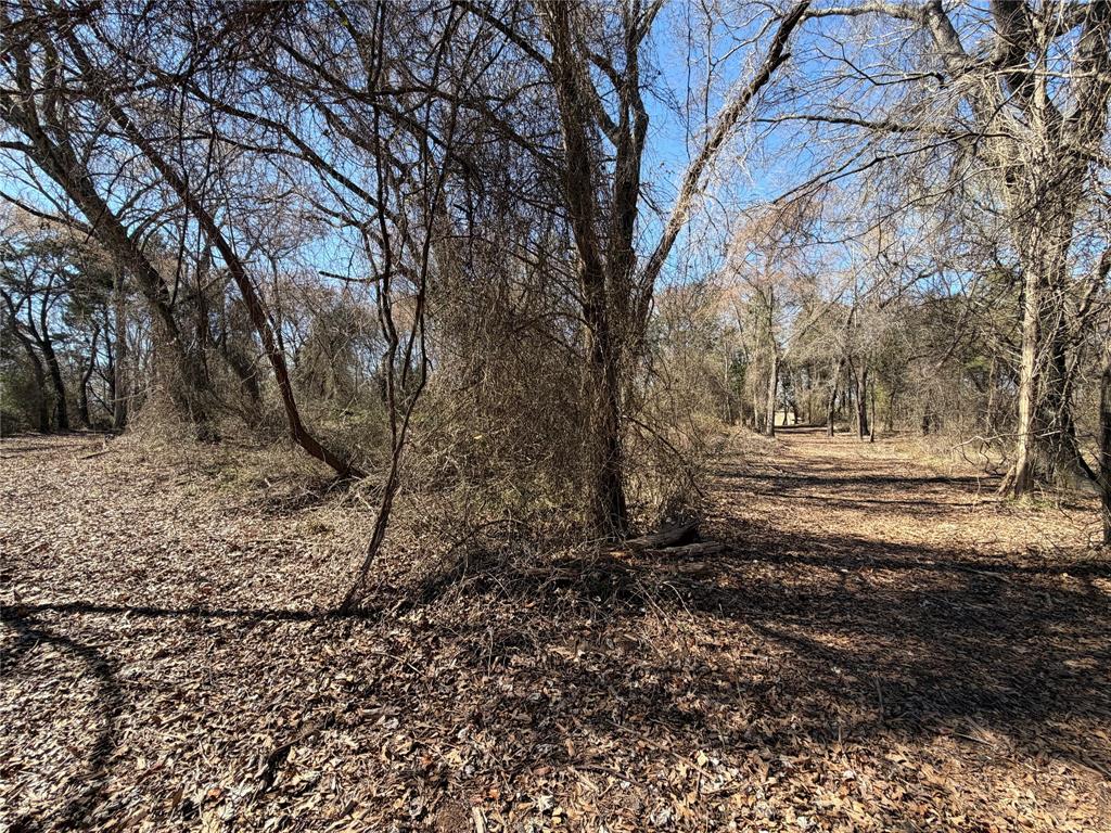 Post Oak Preserve - Land
