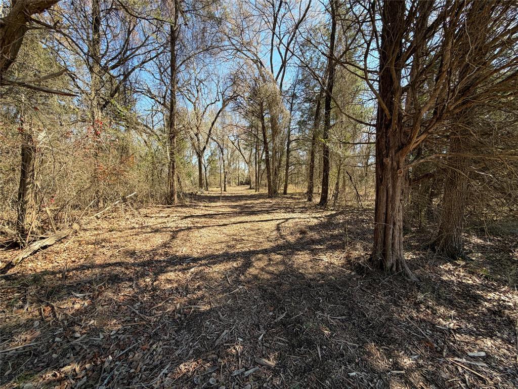 Post Oak Preserve - Land