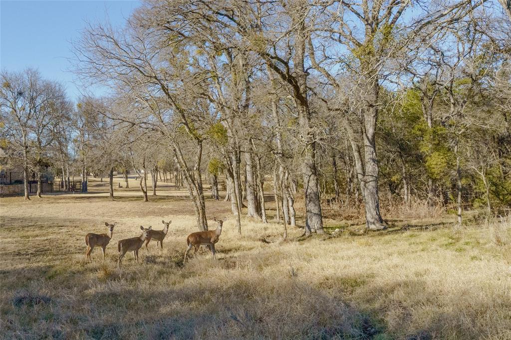 White Bluff #22 - Land