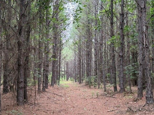 HEARN RD, SHONGALOO, LA 71072 - Image a645cb8aba0aad75cd5e8f52d2c06d9f/1399133543