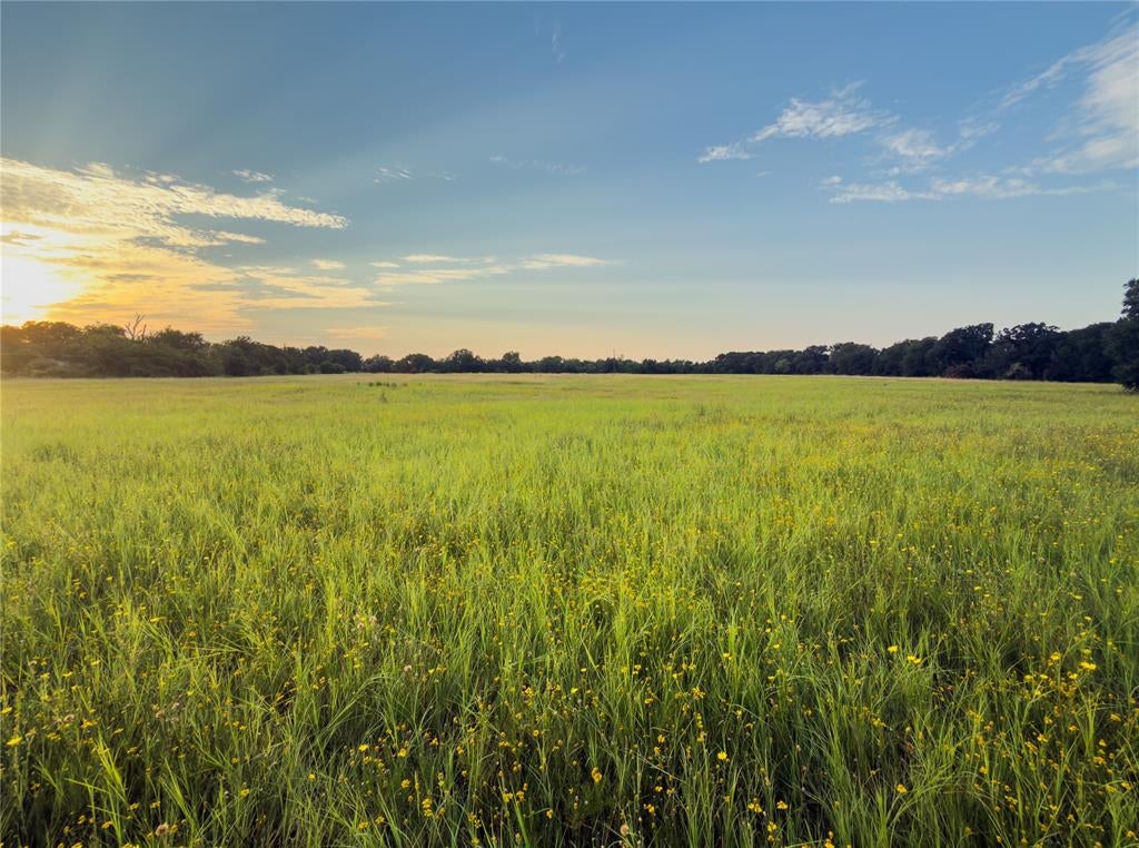 Lot 10 Wilson Road