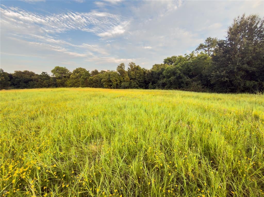 Lot 10 Wilson Road