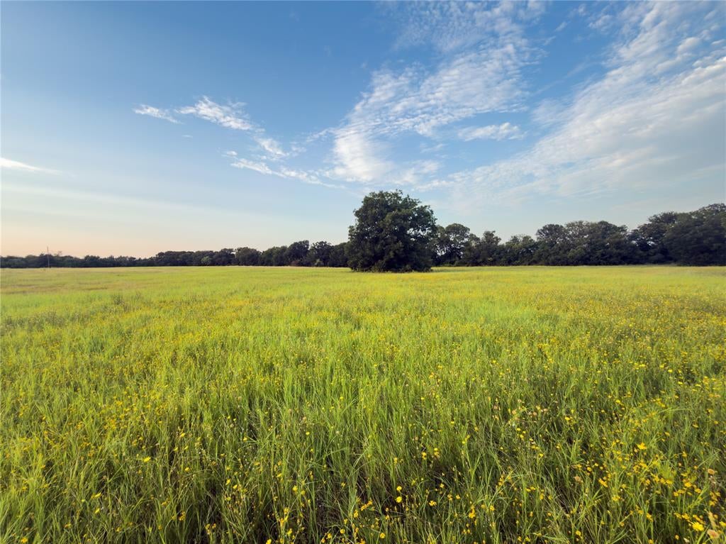 Lot 10 Wilson Road