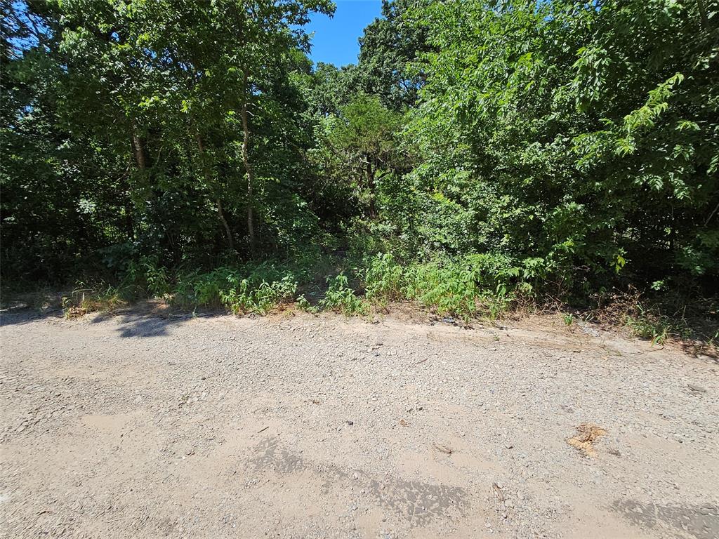Lot 1 Bird Hill Drive