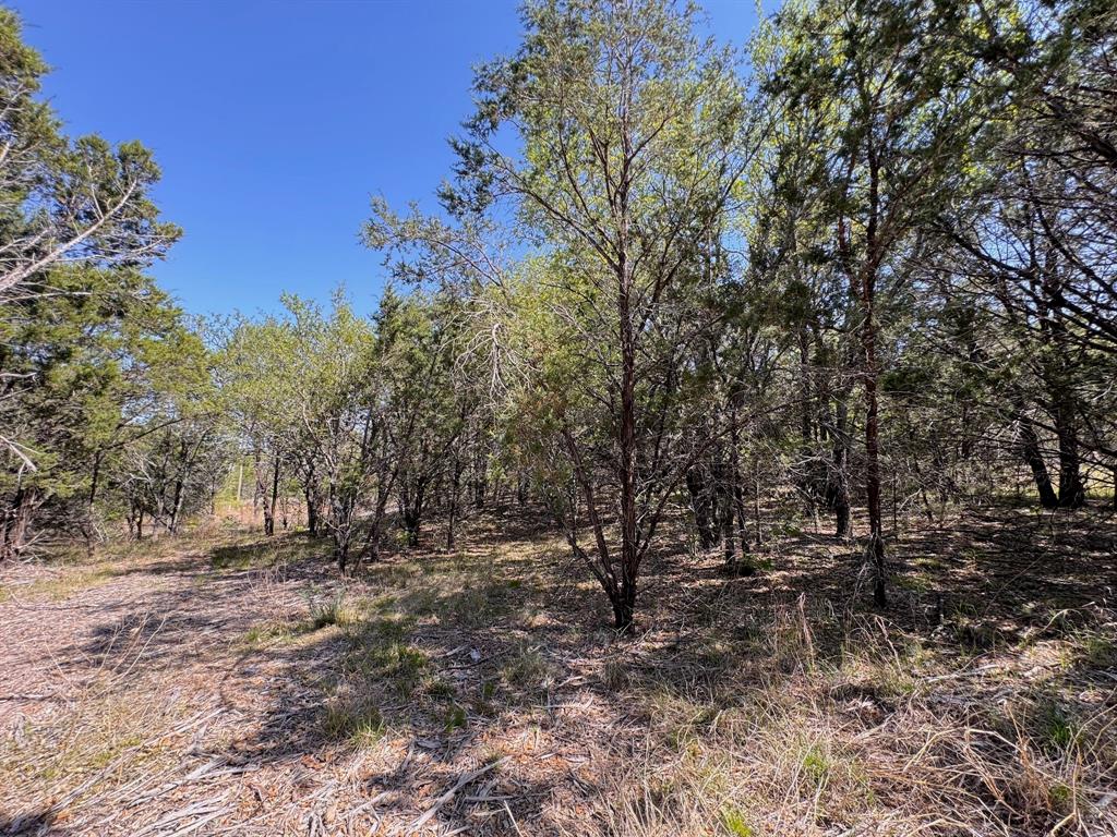 Vista Rdg Ranch - Land