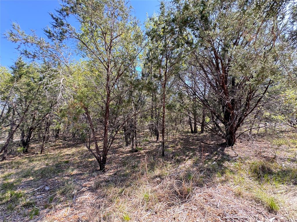 Vista Rdg Ranch - Land