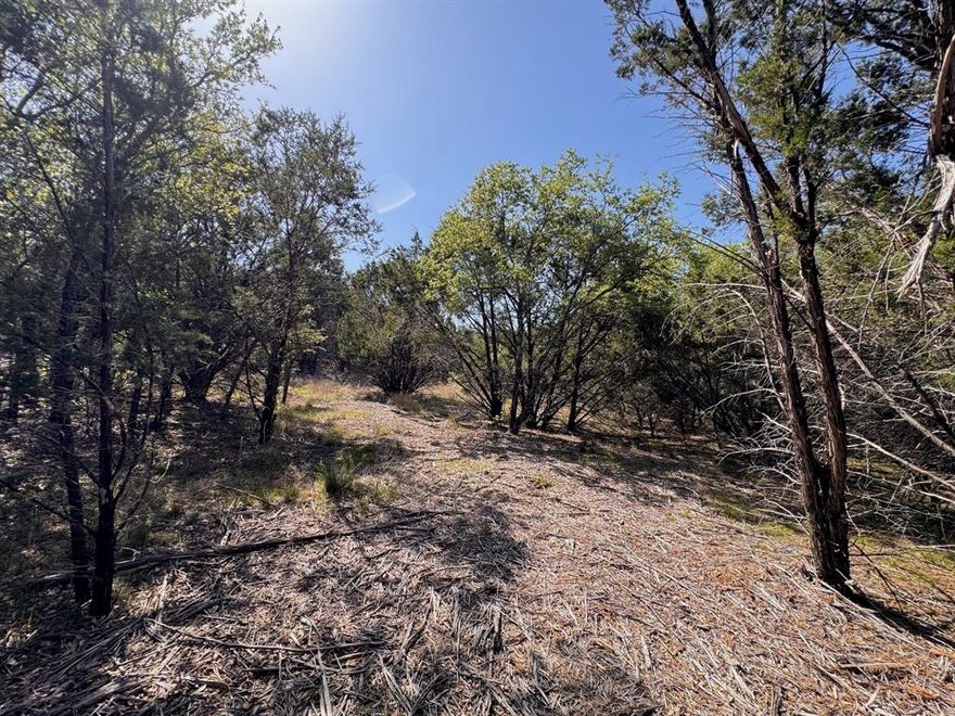 Discover 1.05 acres in Vista Ridge Ranch near Glen Rose, Texas—undeveloped and ready for your dream home! Conveniently located just an hour from Fort Worth. With a water meter and culvert already installed, this scenic lot features a beautiful mix of trees and breathtaking views in a peaceful country setting.

The seller is managing the offer process through FinalOffer.com. All offers must be submitted directly on the platform. Quickly search the property address and click the Make an Offer button to follow the prompts and submit your offer in minutes. A step-by-step guide is available in the disclosure section. The Final Offer concierge team will reach out to you directly, or you can call them at 617-639-1912 for US. Note: The seller reserves the right to add a Final Offer button at any time, which will secure the property at the specified price and terms. You can also save the property to receive real-time offer alerts.
