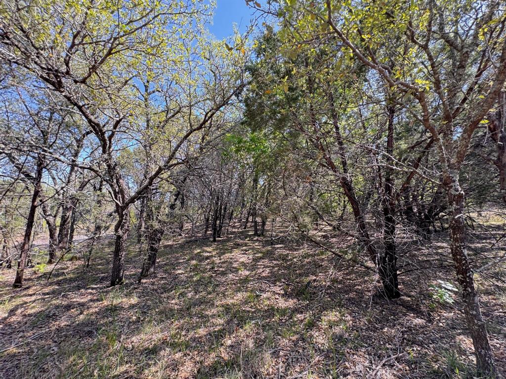 Vista Rdg Ranch - Land