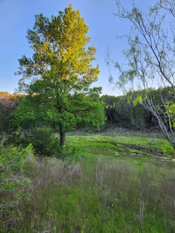 2516 County Road 328