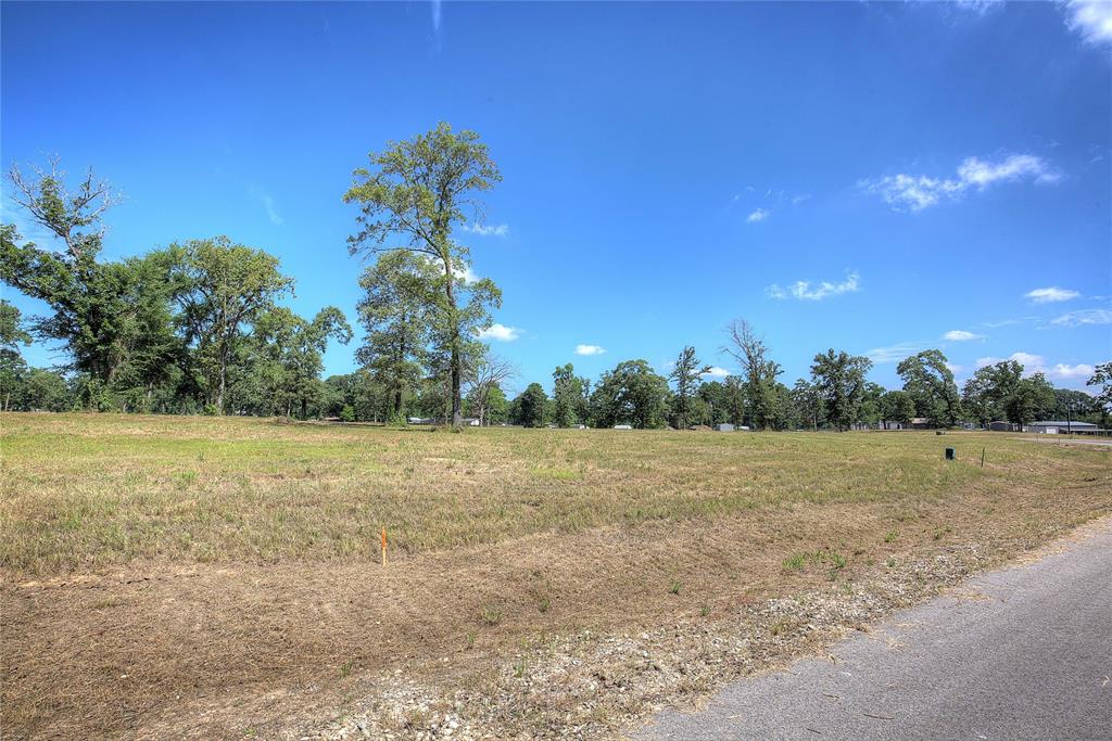 20610 Wycliff