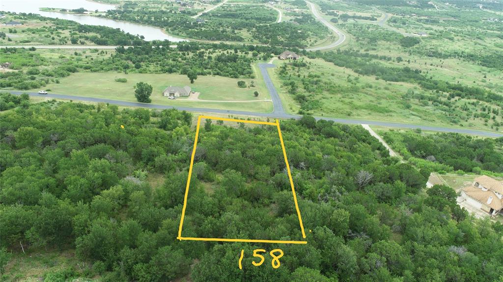 Lot 158 Canyon Wren