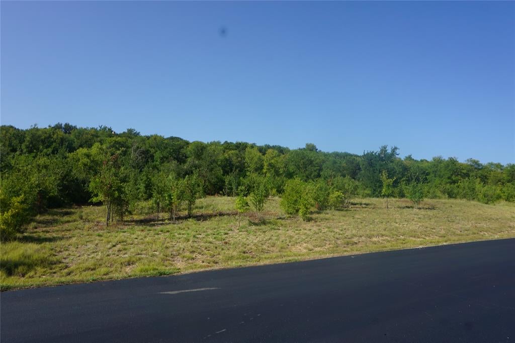 Lot 158 Canyon Wren