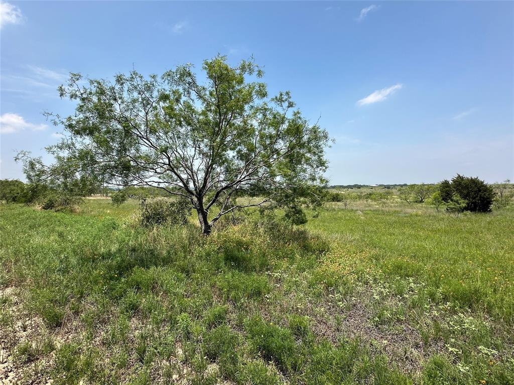 79 BBB & C RR - Farm