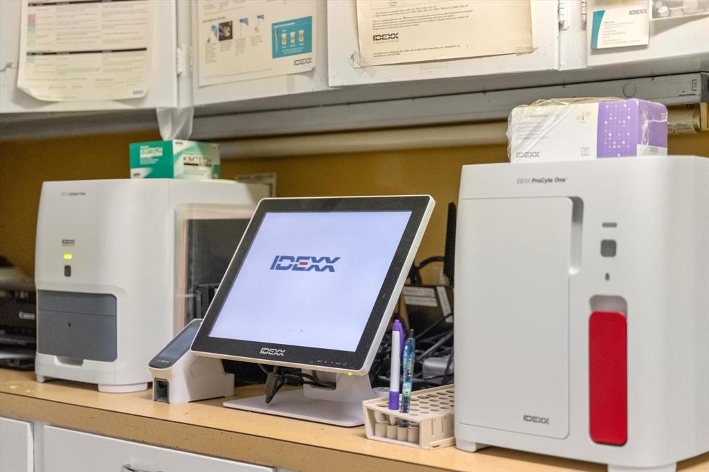 Mt Pleasant City Blocks - Commercial Sale