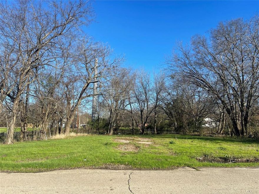 Dreaming of your perfect home? Look no further! Check out this amazing corner lot in the heart of Cooper! Centrally located and just a short walk to downtown Cooper, this prime spot is perfectly situated between Paris and Sulphur Springs, making it an ideal location for your future home. Plus, it's only about an hour's drive from Dallas, giving you the perfect blend of small-town charm and city convenience. Don't miss out on this incredible opportunity! Come see this perfect place for your new house today!