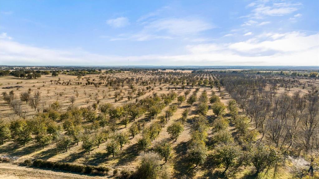 Wolfe Pecanlands Dev 50 - Land