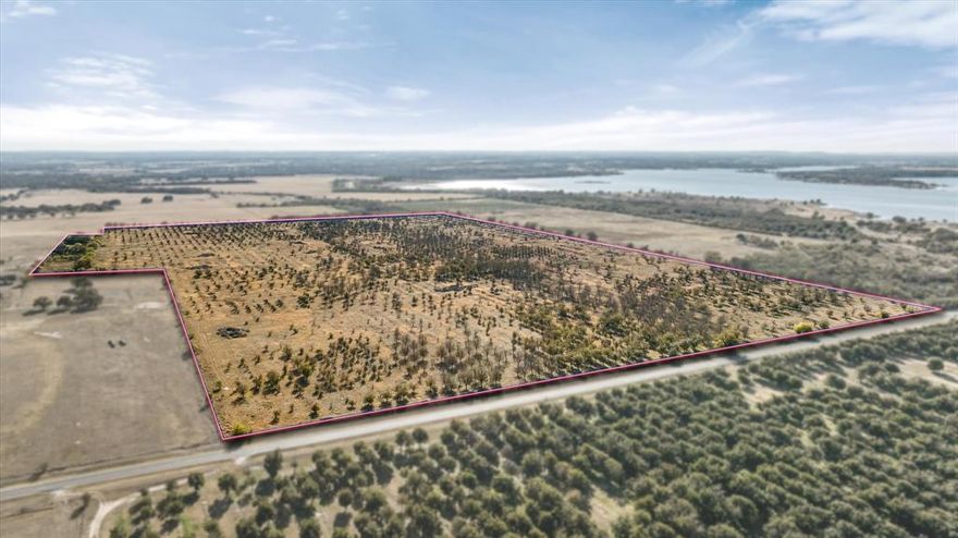 Prime 138-acre tract on FM 1476, ideally positioned for a ranchette or small-acreage development. This land features sandy loam soil, public water availability, and convenient FM road frontage, offering excellent access for subdividing. Formerly part of the Wolf Pecanlands, the acreage includes older pecan trees with strong potential for orchard restoration or clearing for improved use. Located just minutes from Lake Proctor, this property appeals to both residential buyers and recreational landowners. Strong upside for investors seeking development or long-term land value growth in Comanche County.