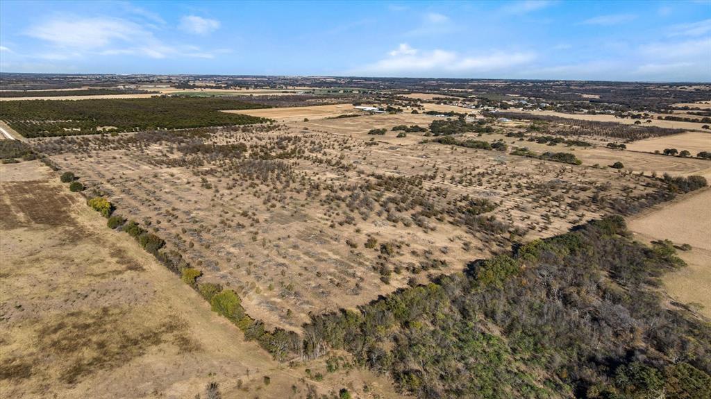 Wolfe Pecanlands Dev 50 - Land