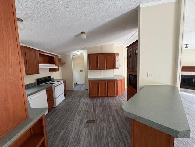 308 Brazos Ridge Drive