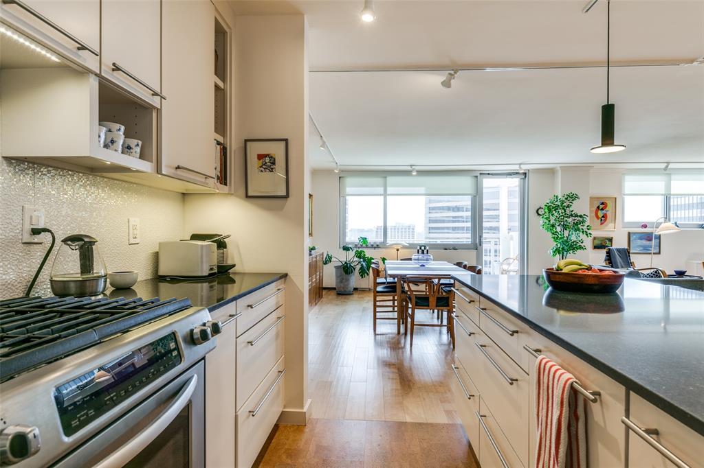 Twenty-One Turtle Creek Condo - Residential