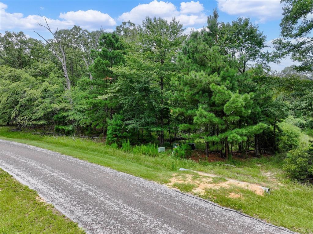 Safari Waters Ranch - Land