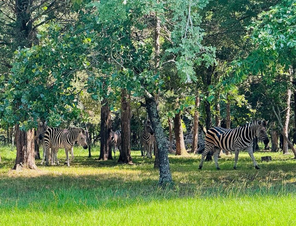 Safari Waters Ranch - Land