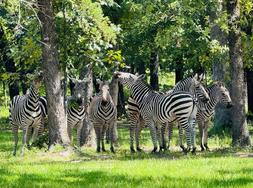 Safari Waters Ranch - Land