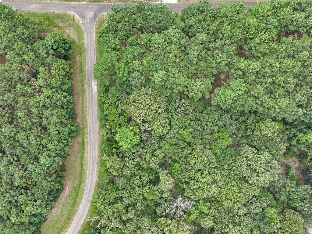 Safari Waters Ranch - Land