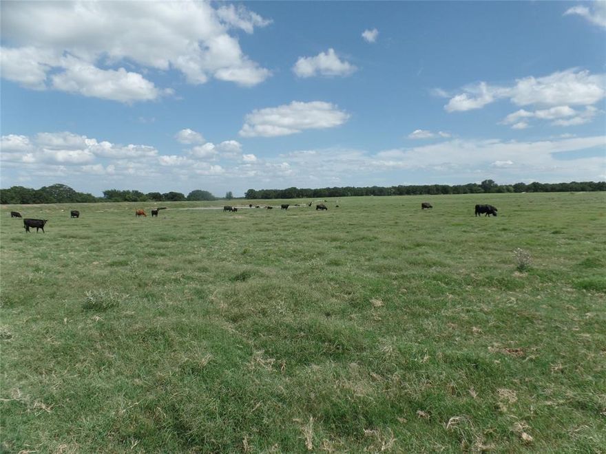 11.12 acres AG EXEMP This property has coastal, a livestock shade, an electric pole with meter loop, and approximately 480 feet of road frontage. It is located about a half mile down the road from the New Tarleton State Rodeo facility. This property is Sand loam and idea for horses. This property has a TXDOT permit for highway access.