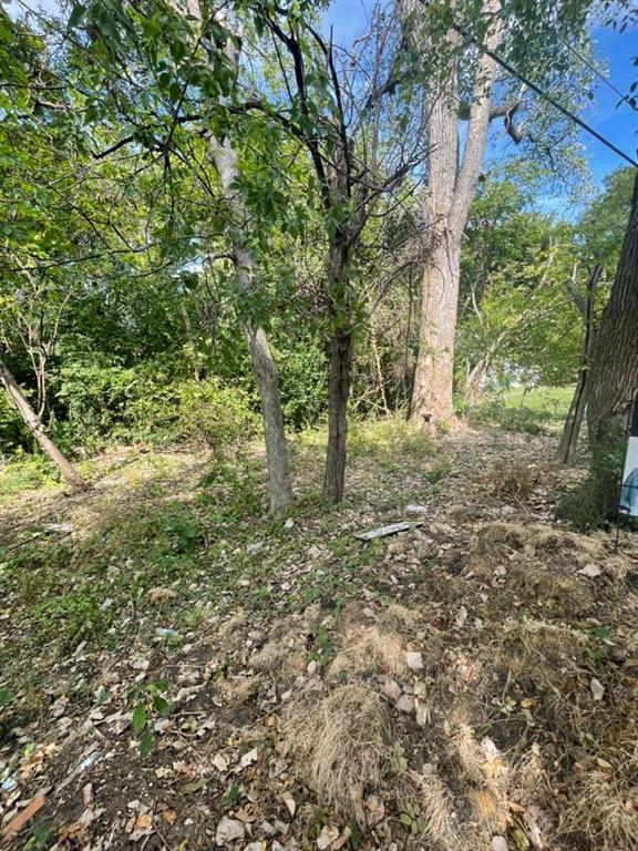 653 Elston Drive