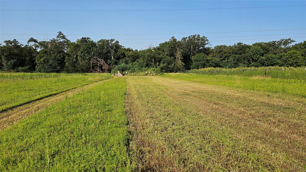 Oak Lawn Estate - Residential