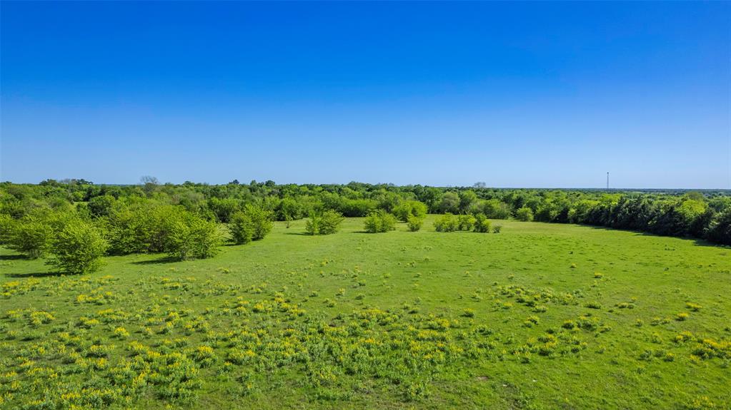Tract 3 - 39ac Farm Road 1737