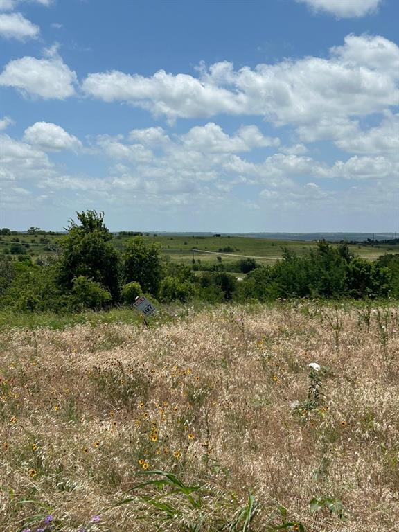 COUGAR MOUNTAIN - Land