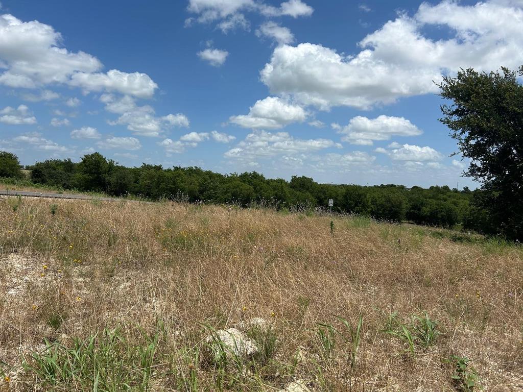 COUGAR MOUNTAIN - Land