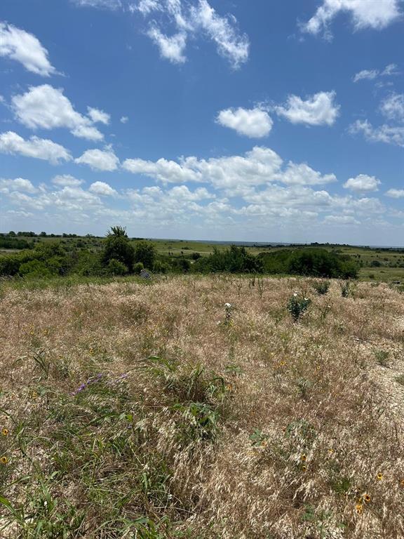 COUGAR MOUNTAIN - Land