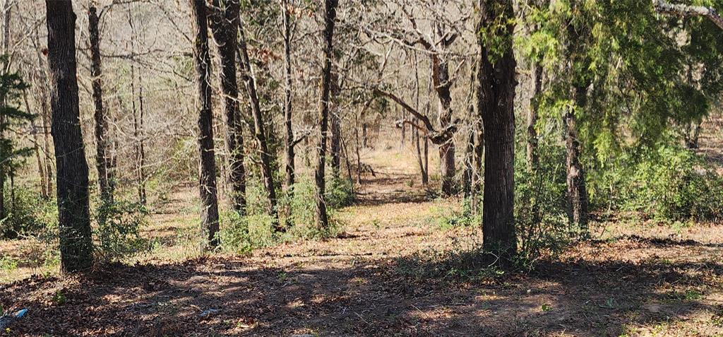 Crossroads ISD - Land