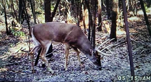 Crossroads ISD - Land