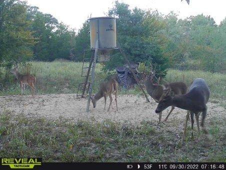 Crossroads ISD - Land