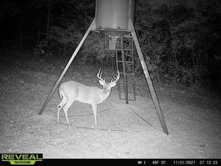 Crossroads ISD - Land