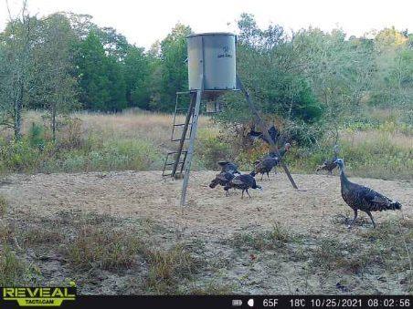 Crossroads ISD - Land