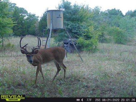 Crossroads ISD - Land