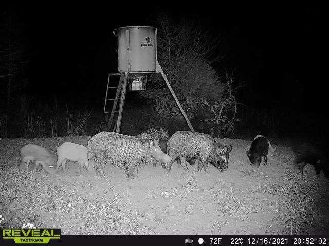 Crossroads ISD - Land