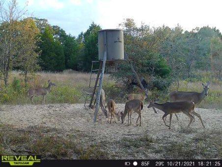 Crossroads ISD - Land