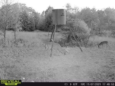 Crossroads ISD - Land